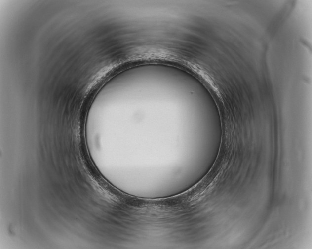 X0000096970629200802080924