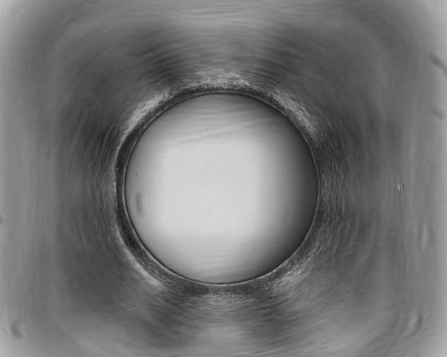 X0000096970630200802080924