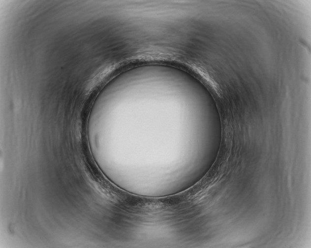 X0000096970631200802080924