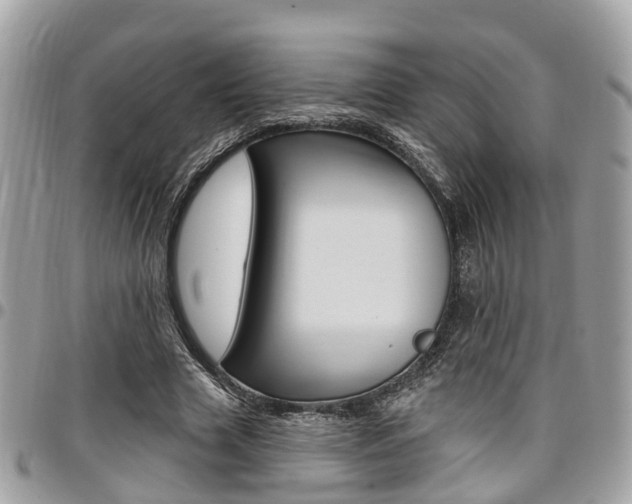 X0000096970633200802080924