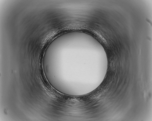 X0000096970635200802080924
