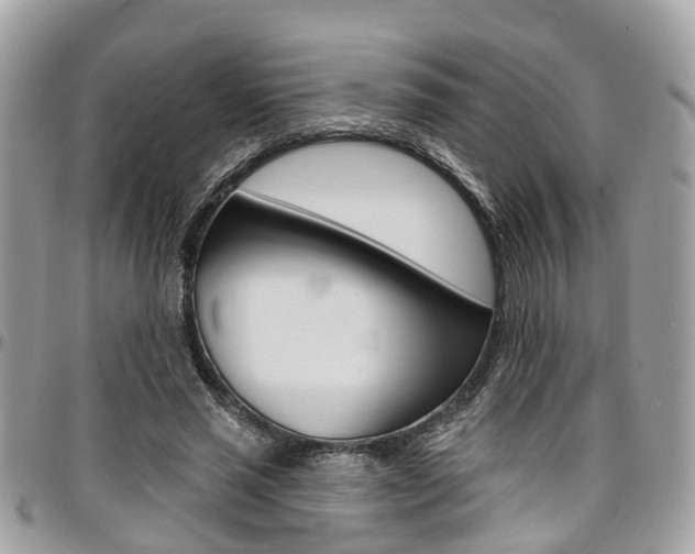 X0000096970637200802080924