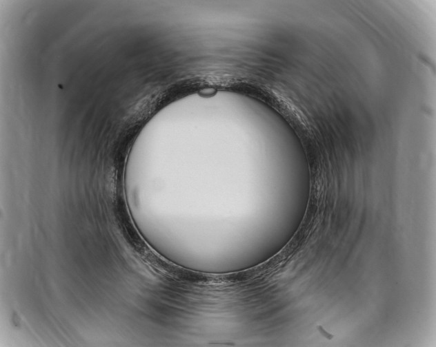 X0000096970639200802080924
