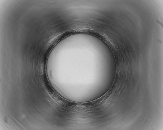 X0000096970640200802080924