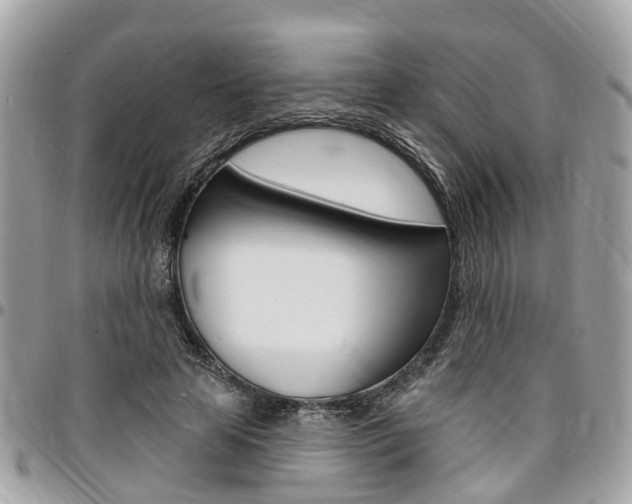 X0000096970641200802080924