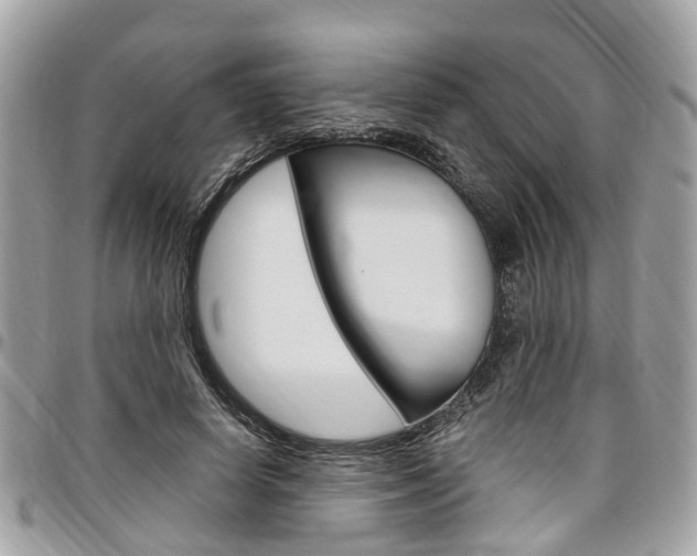 X0000096970642200802080924