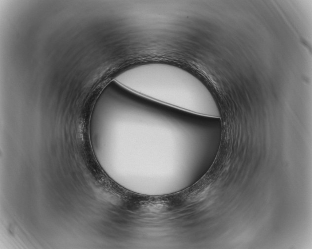 X0000096970643200802080924
