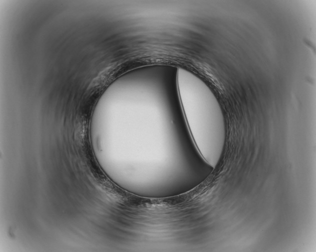 X0000096970645200802080924