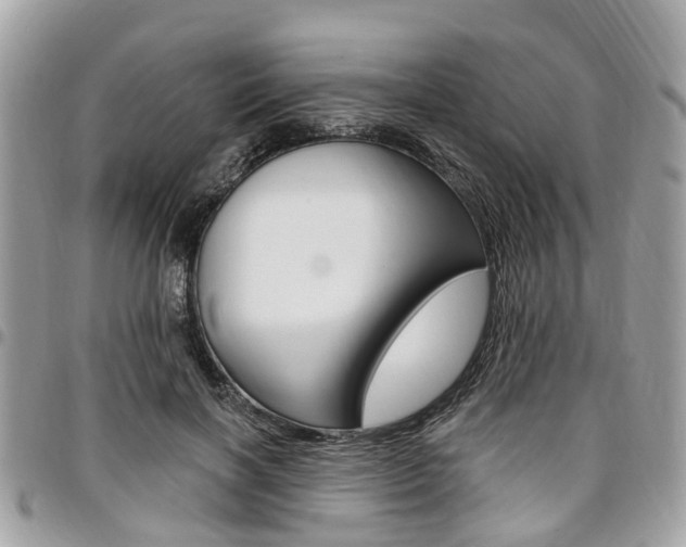 X0000096970646200802080924