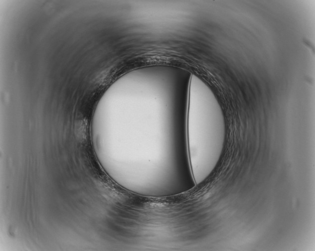 X0000096970649200802080924