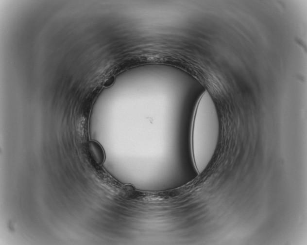 X0000096970650200802080924