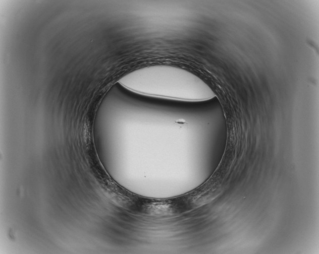 X0000096970651200802080924