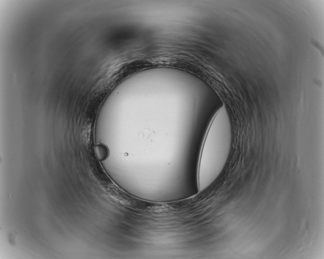 X0000096970652200802080924
