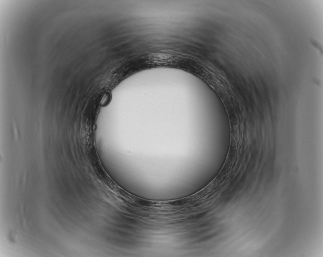 X0000096970653200802080924