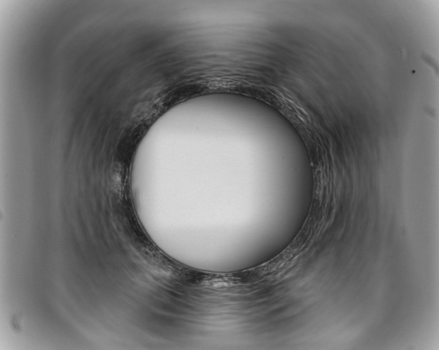 X0000096970655200802080924