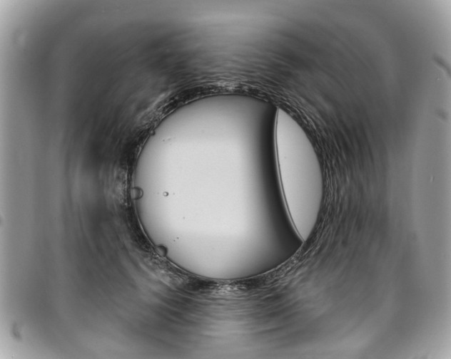 X0000096970656200802080924
