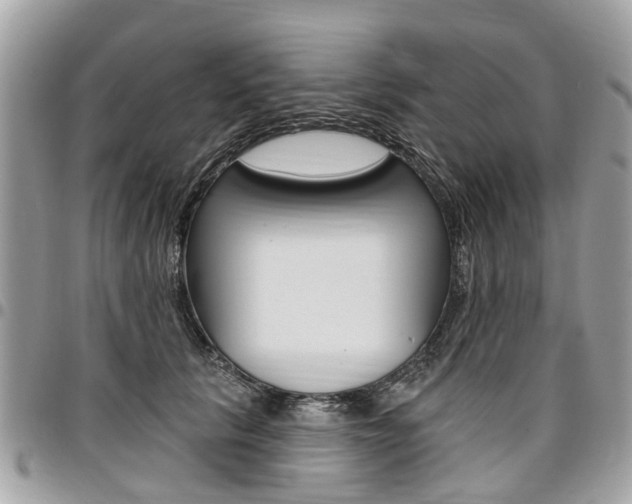 X0000096970657200802080924