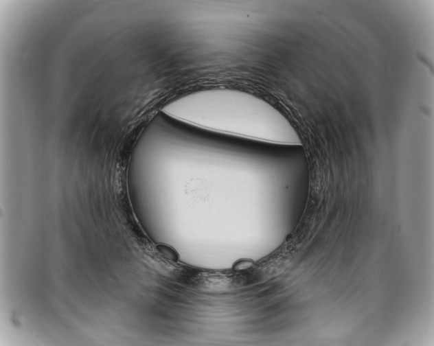 X0000096970658200802080924