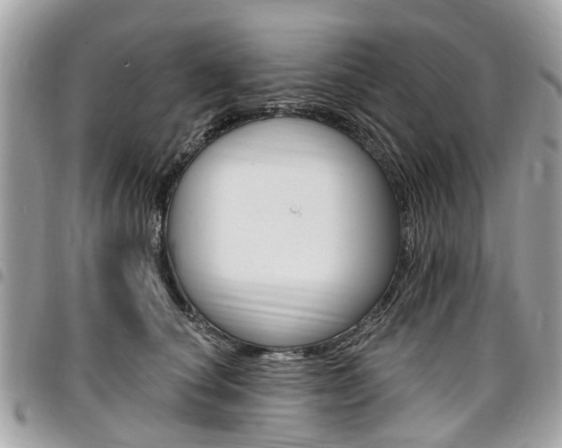X0000096970660200802080924