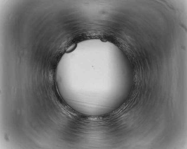 X0000096970662200802080924