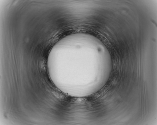 X0000096970663200802080924