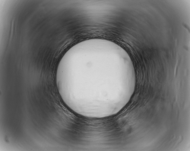 X0000096970665200802080924