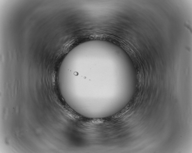 X0000096970668200802080924