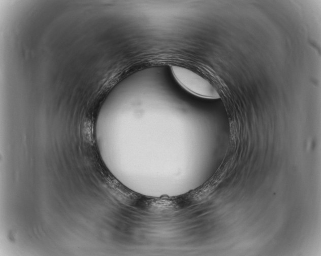 X0000096970669200802080924