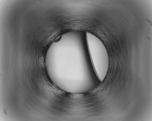 X0000096970670200802080924