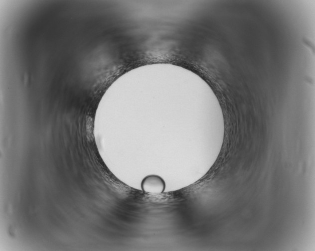 X0000096970672200802080924