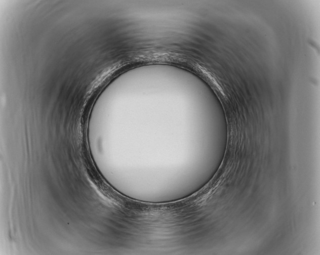 X0000096970674200802080924
