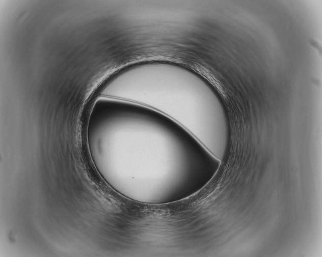 X0000096970676200802080924