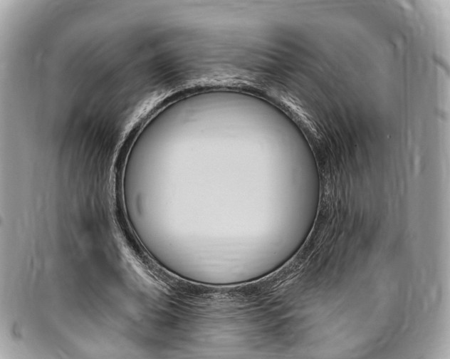 X0000096970678200802080924