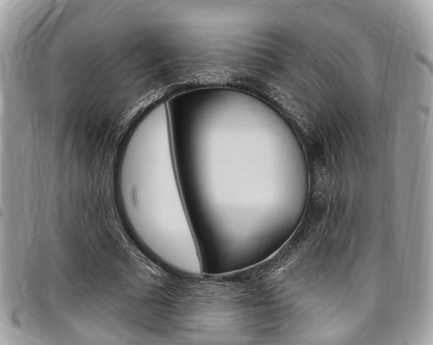 X0000096970681200802080924
