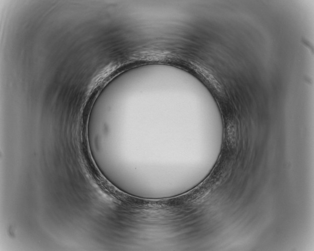 X0000096970682200802080924