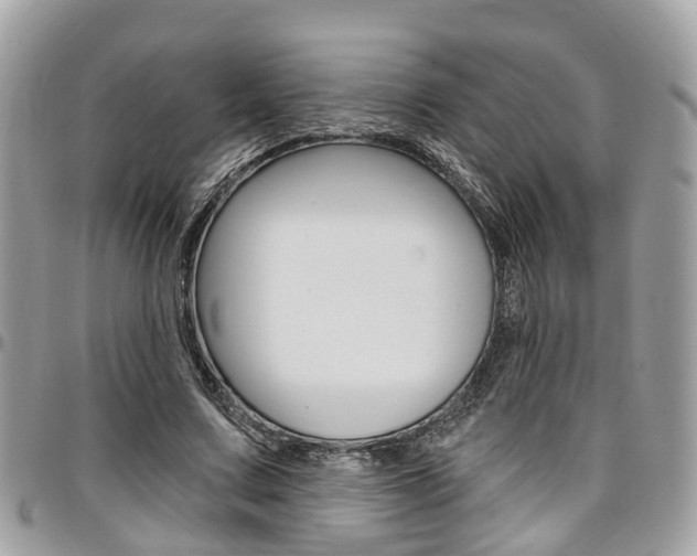 X0000096970683200802080924