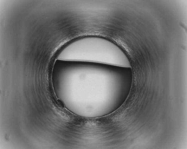 X0000096970684200802080924