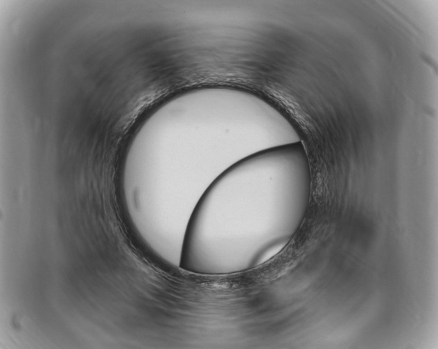 X0000096970687200802080924