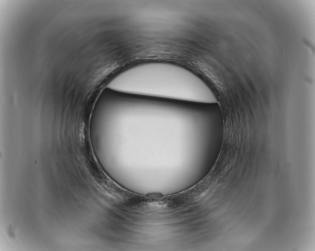 X0000096970692200802080924
