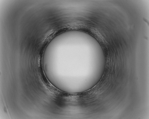 X0000096970694200802080924