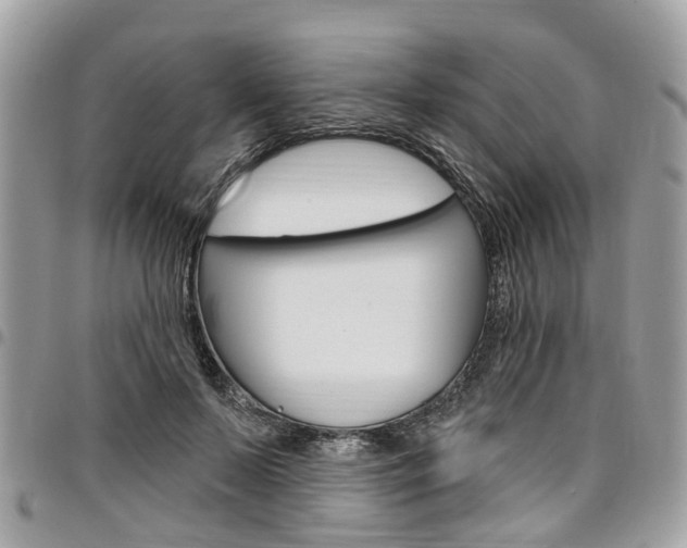 X0000096970695200802080924
