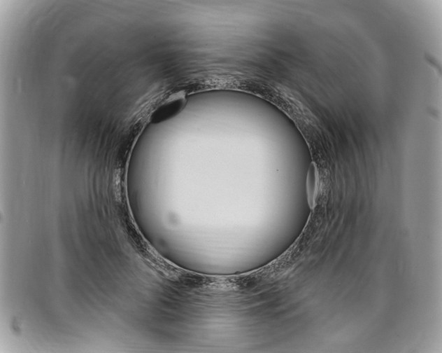 X0000096970696200802080923