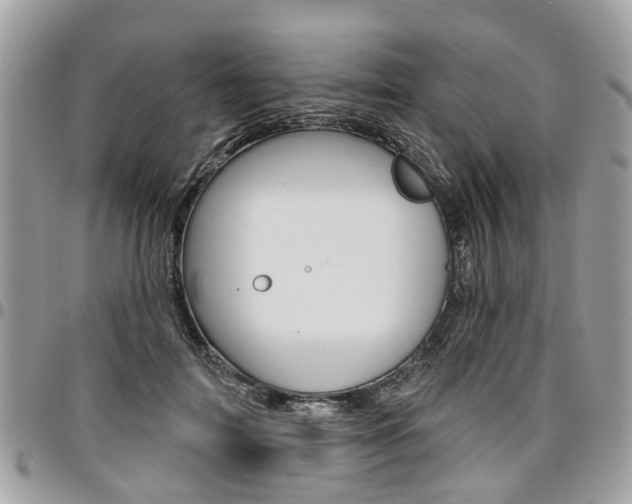 X0000096970698200802080923