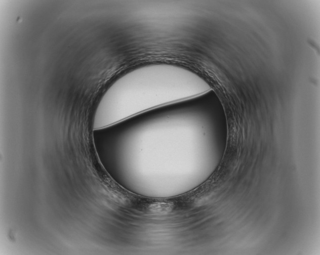 X0000096970700200802080923