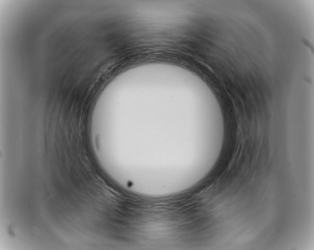 X0000096970701200802080923