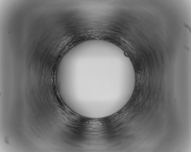 X0000096970702200802080923