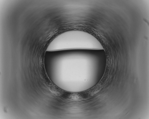 X0000096970704200802080923