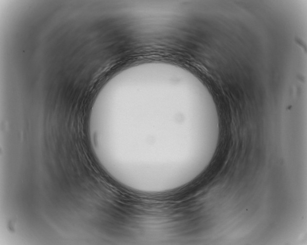 X0000096970705200802080923