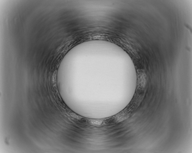 X0000096970709200802080923