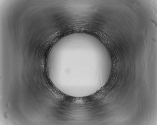 X0000096970710200802080923